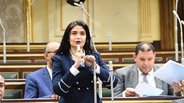 إيرين سعيد ،عضو لجنة الصحة بمجلس النواب