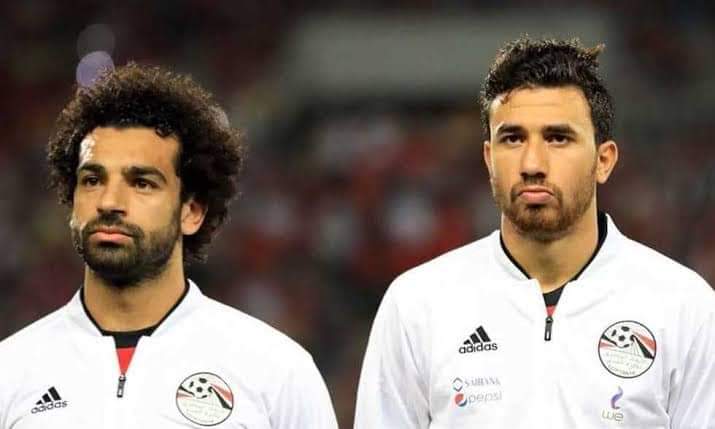 صلاح وتريزيجية