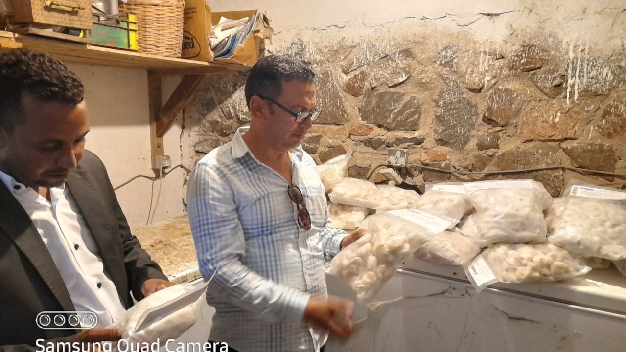الجمبري غير صالح 