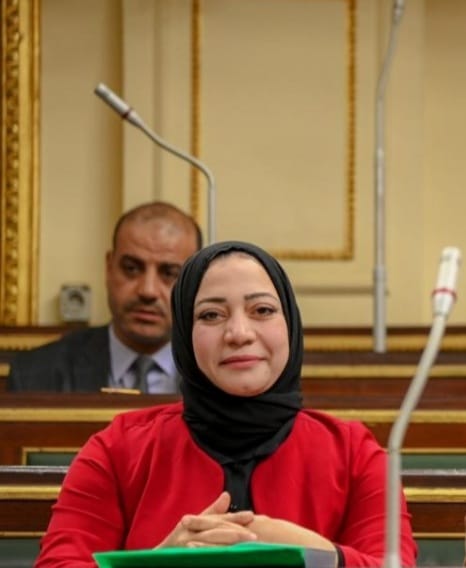 صفاء جابر ، عضو مجلس النواب 