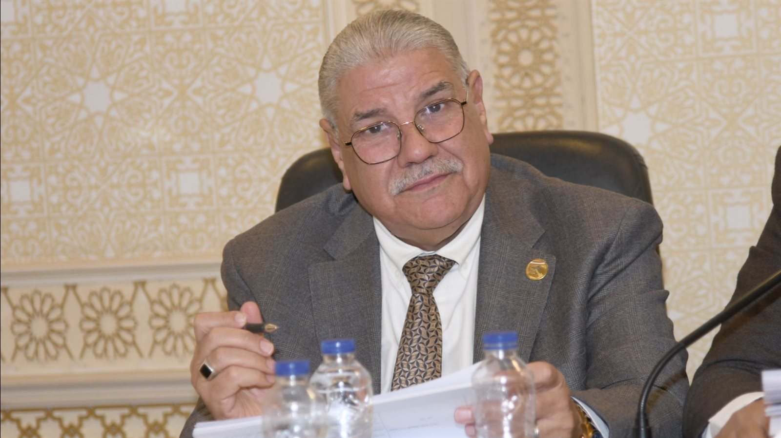 النائب محمود الصعيدي عضو مجلس النواب 