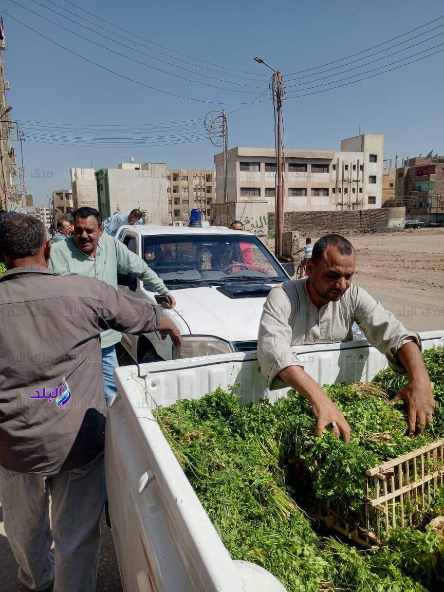 FB_IMG_1688835845078