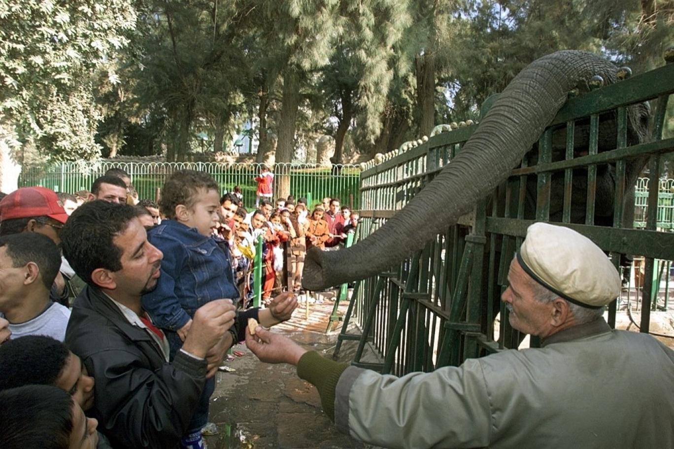 حديقة الحيوان 