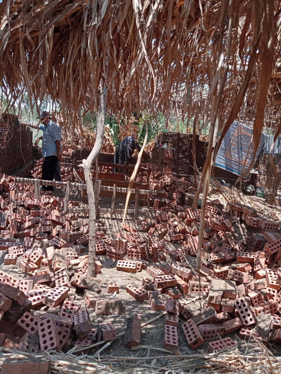 إزالة التعديات في المنوفية 