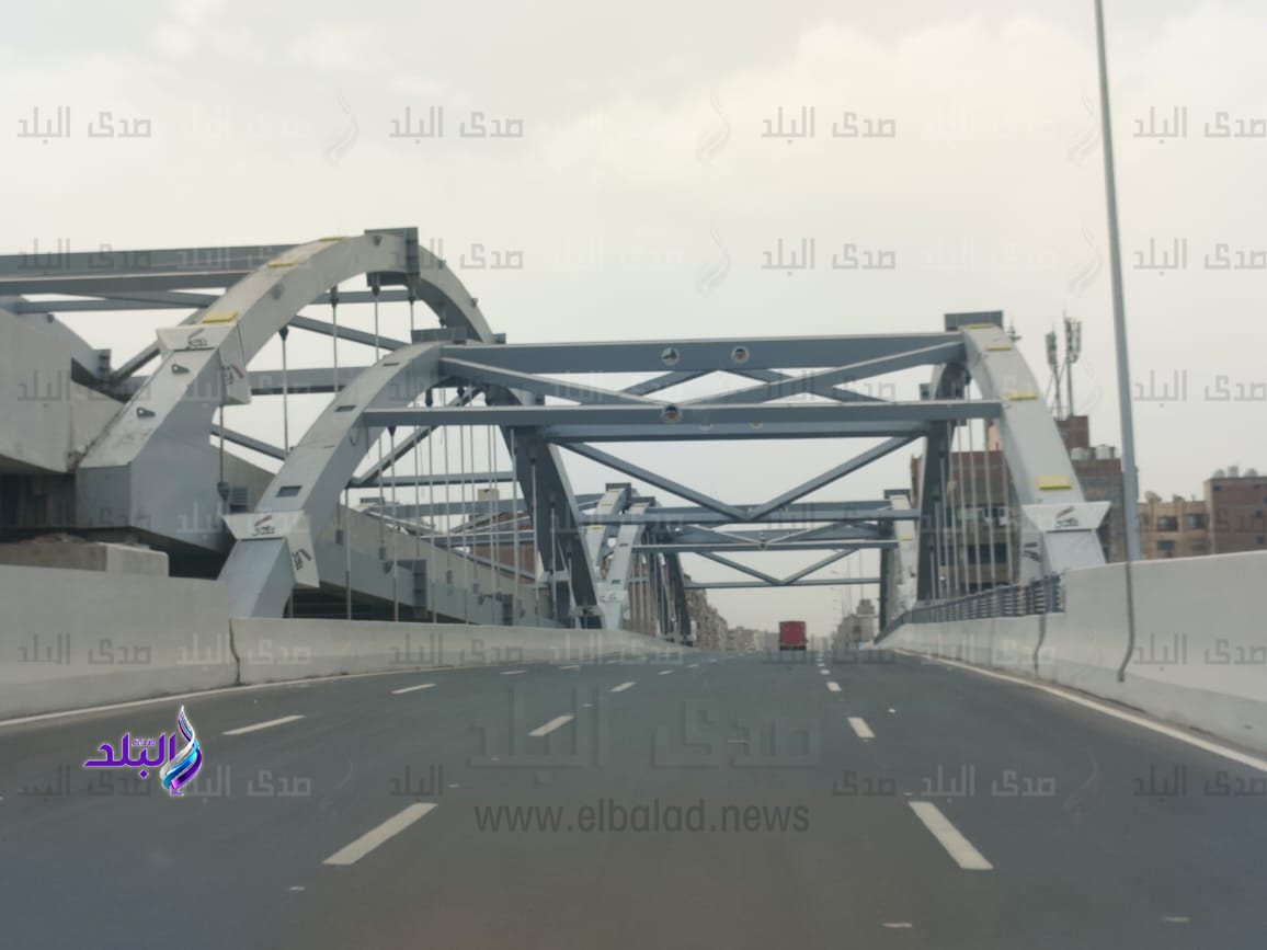 محور كمال عامر 