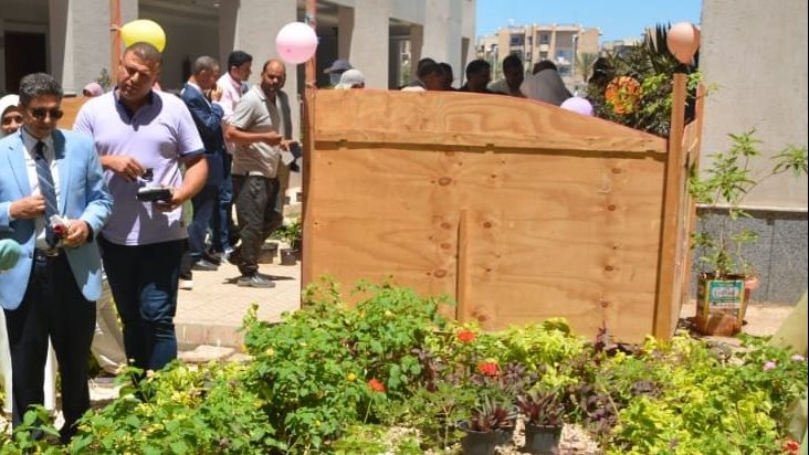 جامعة دمياط 