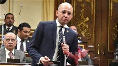  د هشام حسين أمين سر لجنة الاقتراحات والشكاوى بمجلس النواب