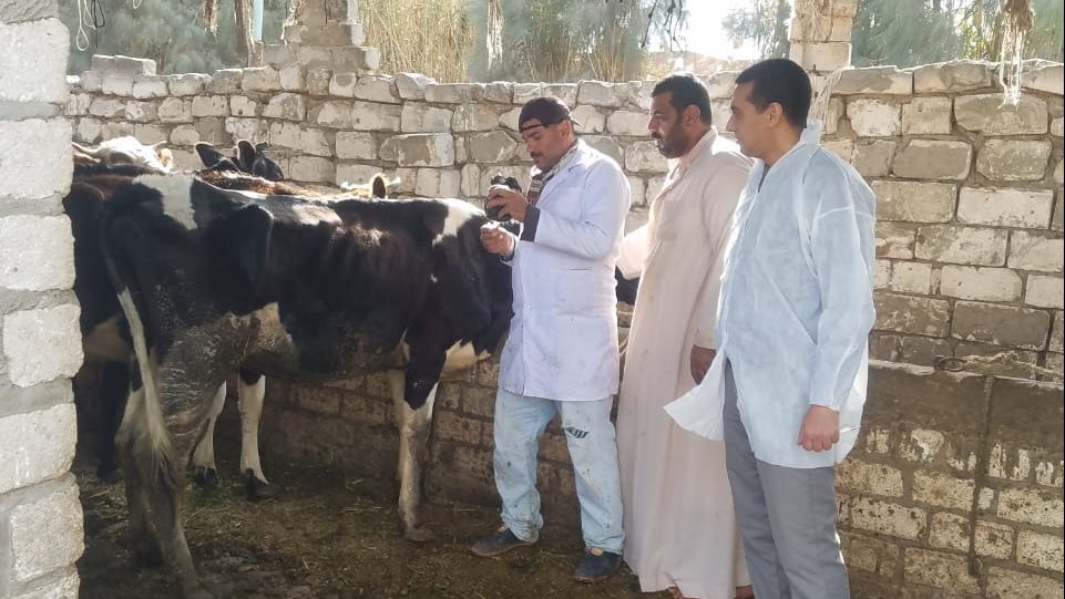 بيطرى البحيرة