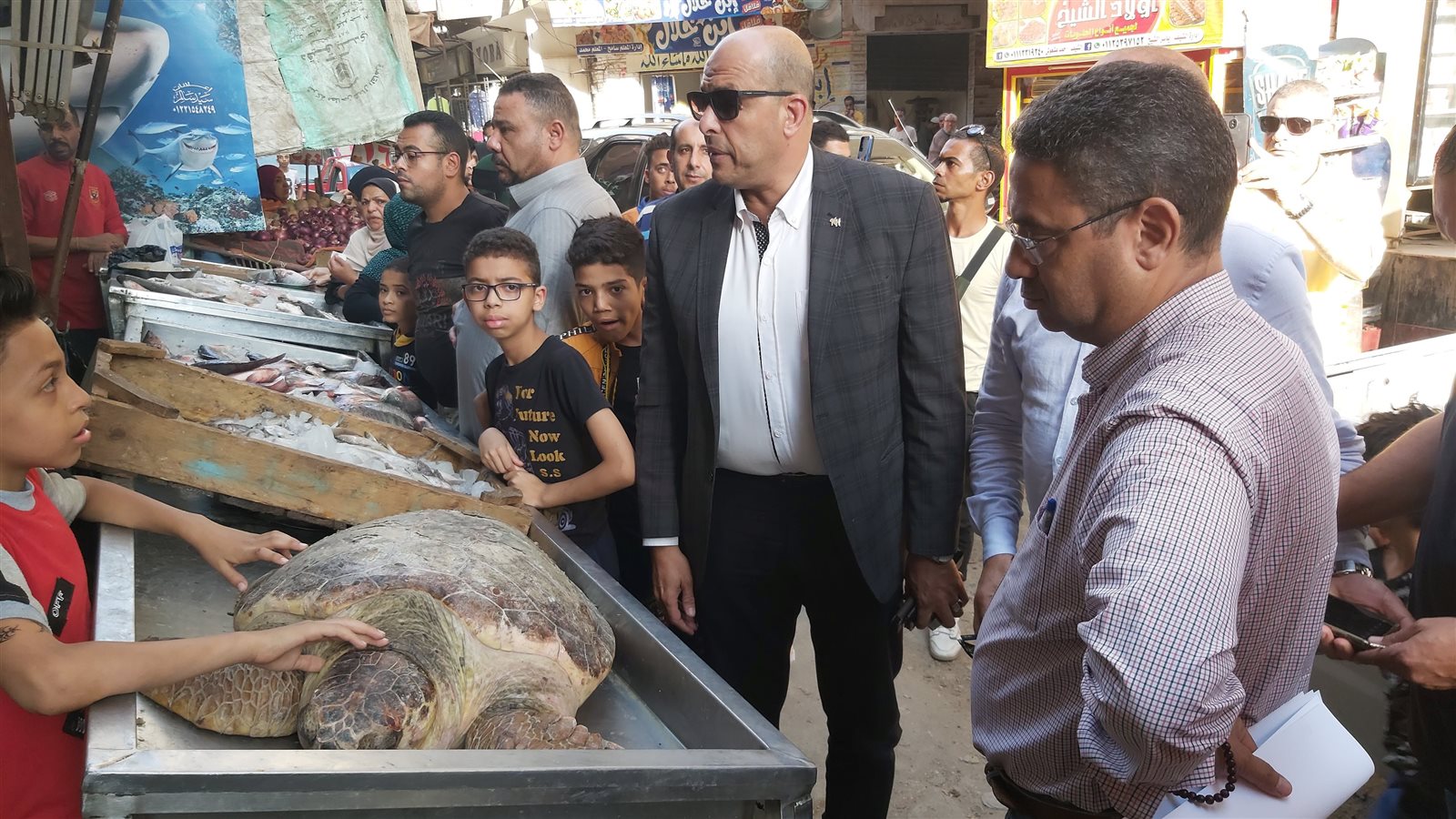 ترسة بحرية