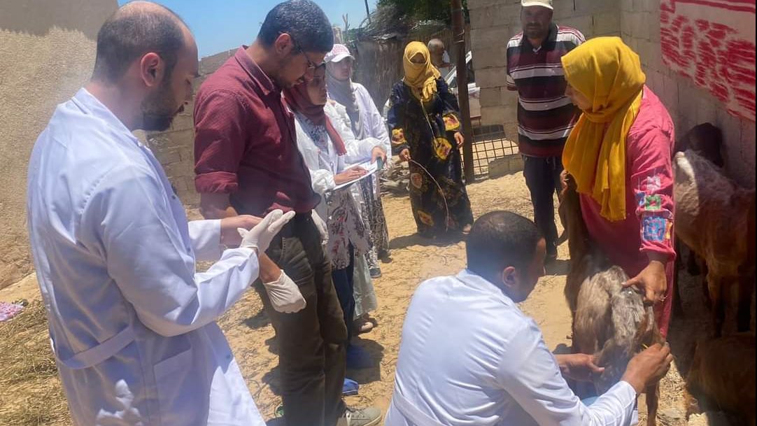 حملة تطعيم للحيوانات بقرى سيناء 