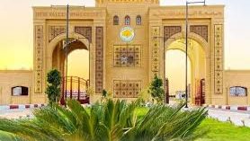 جامعة الوادي الجديد