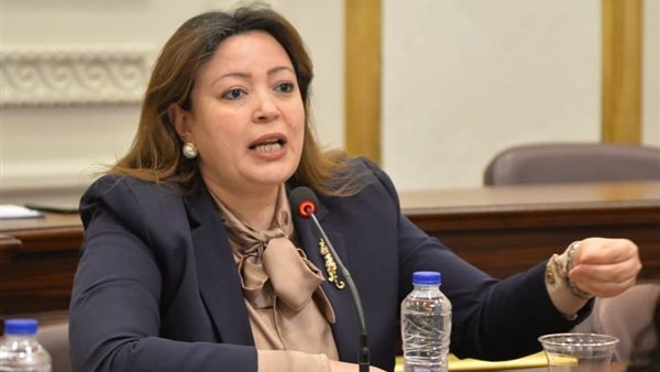 سماء سليمان ، عضو مجلس الشيوخ 