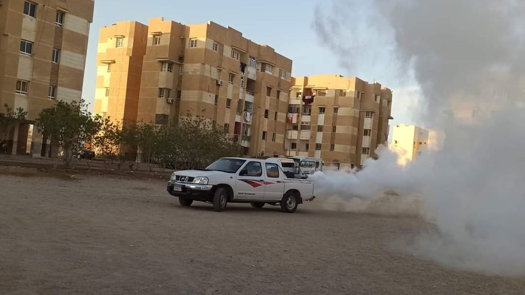 صورة موضوعية