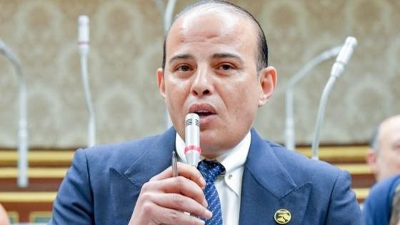عمرو القطامى، عضو مجلس النواب
