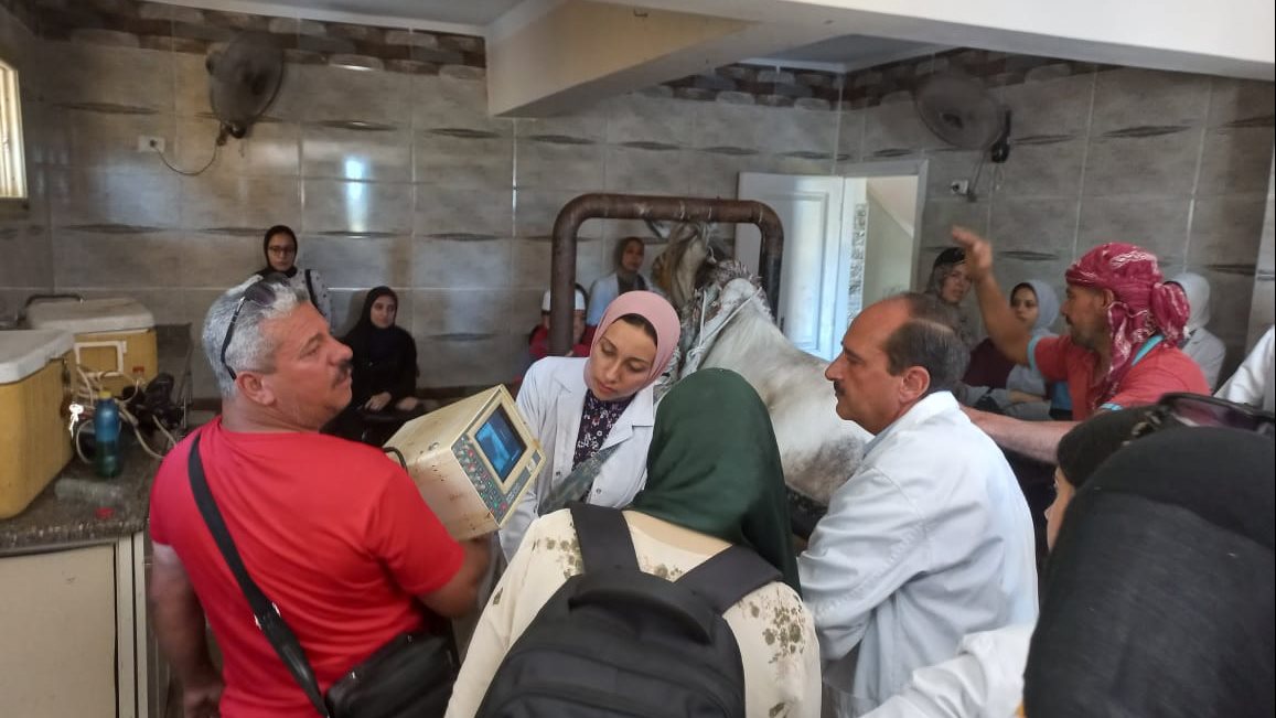 قافلة طبية برعاية جامعة الإسكندرية