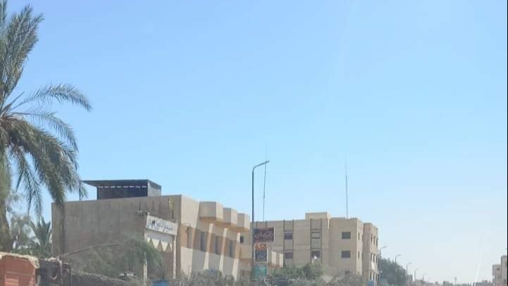 سقوط شجرة يعيق حركة المرور 