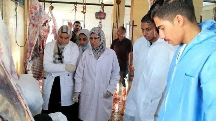 التدريب الميدانى لطلاب كلية الطب البيطرى جامعة العريش 