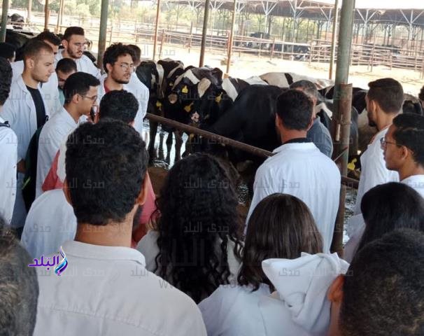 كلية الطب البيطرى بجامعة بدر