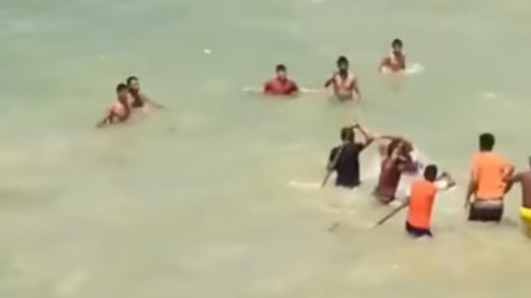 كوبري استاتلي بالاسكندرية 