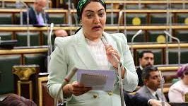 النائبة أسماء الجمال عضو مجلس النواب