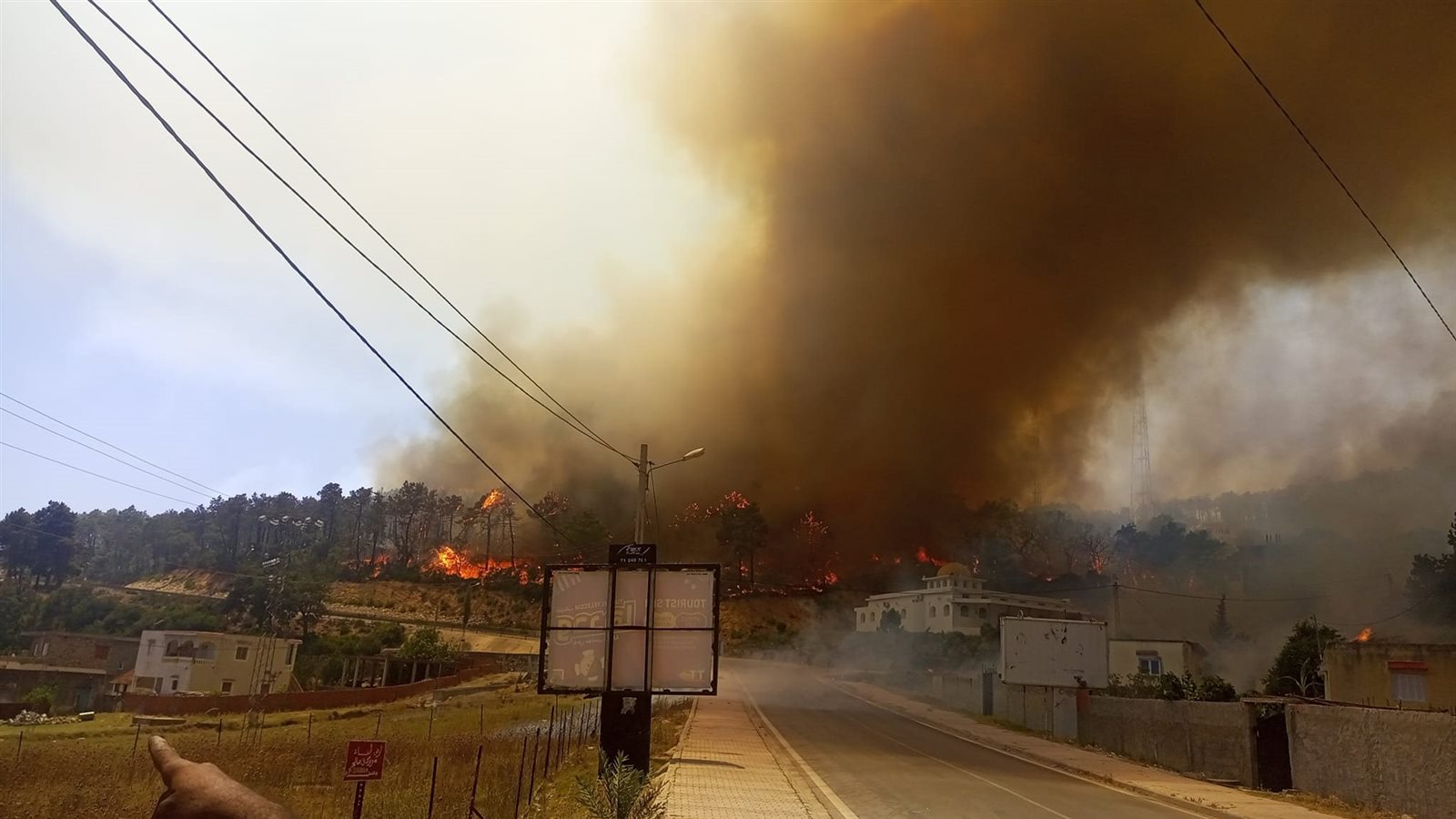 أرشيفية