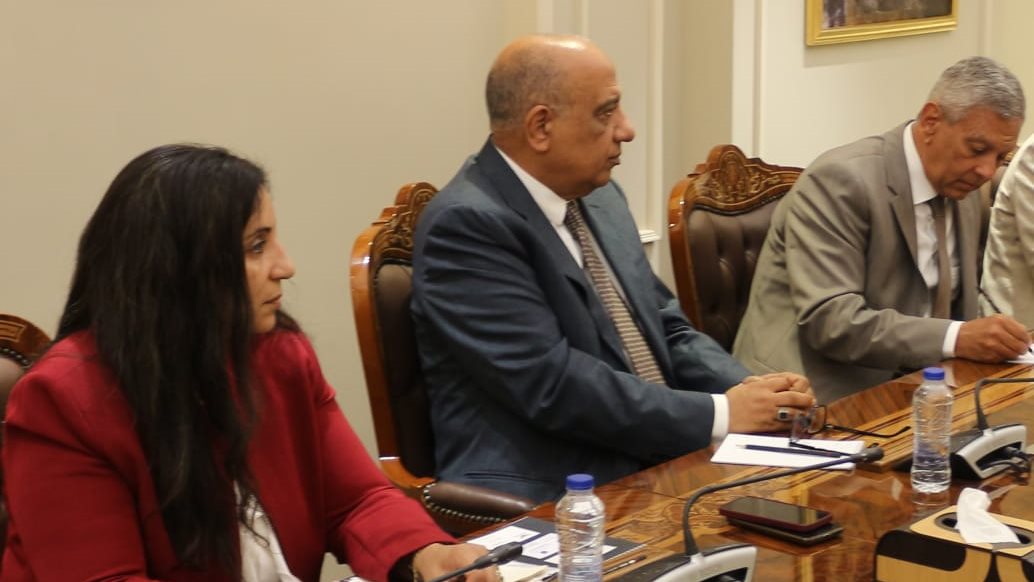وزير قطاع الأعمال العام 