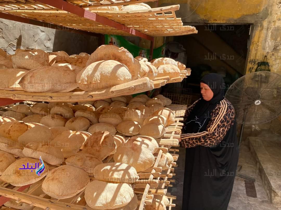 FB_IMG_1690355566720