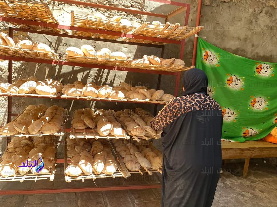 FB_IMG_1690355564265