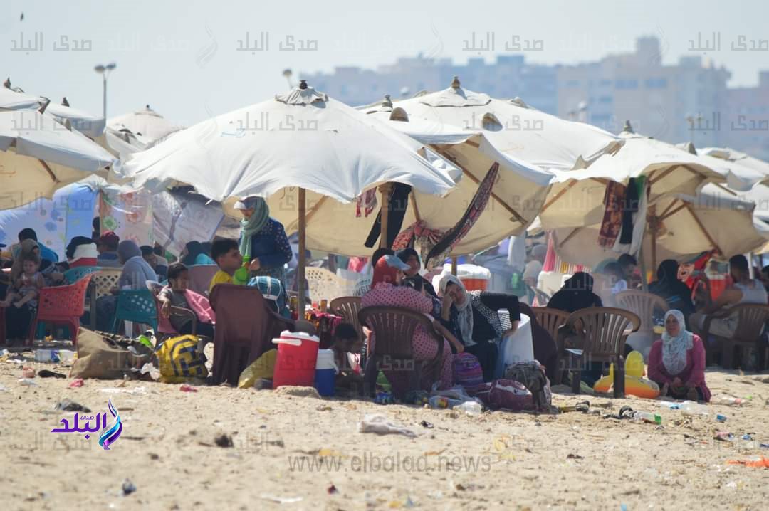 FB_IMG_1690553780819