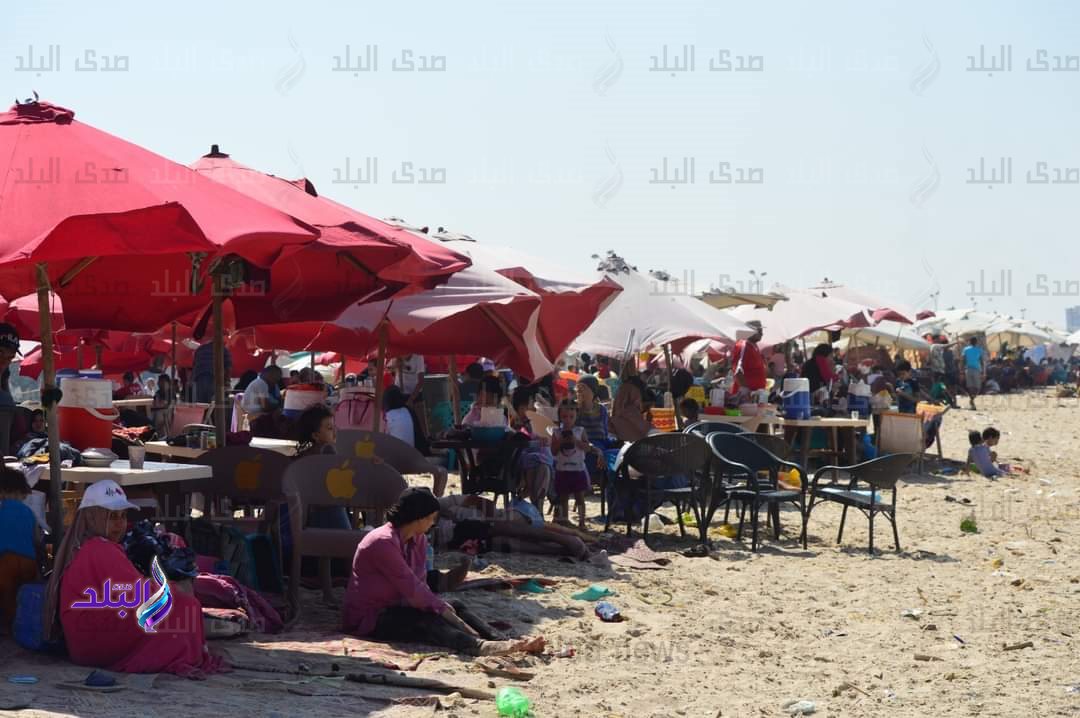 FB_IMG_1690553778654