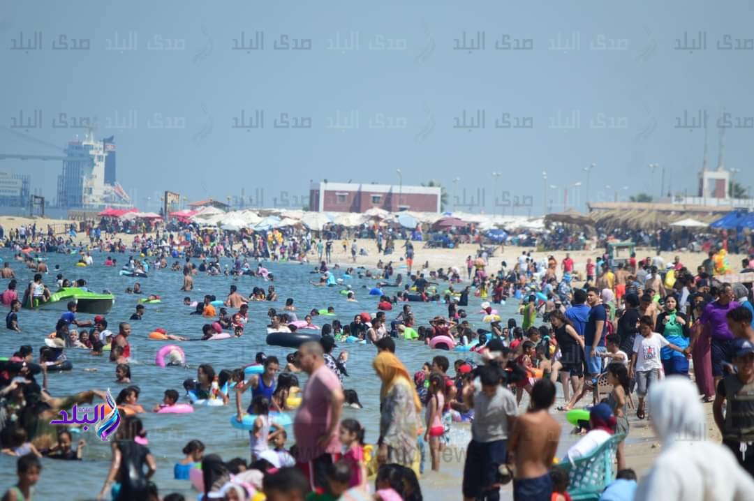 FB_IMG_1690553765219