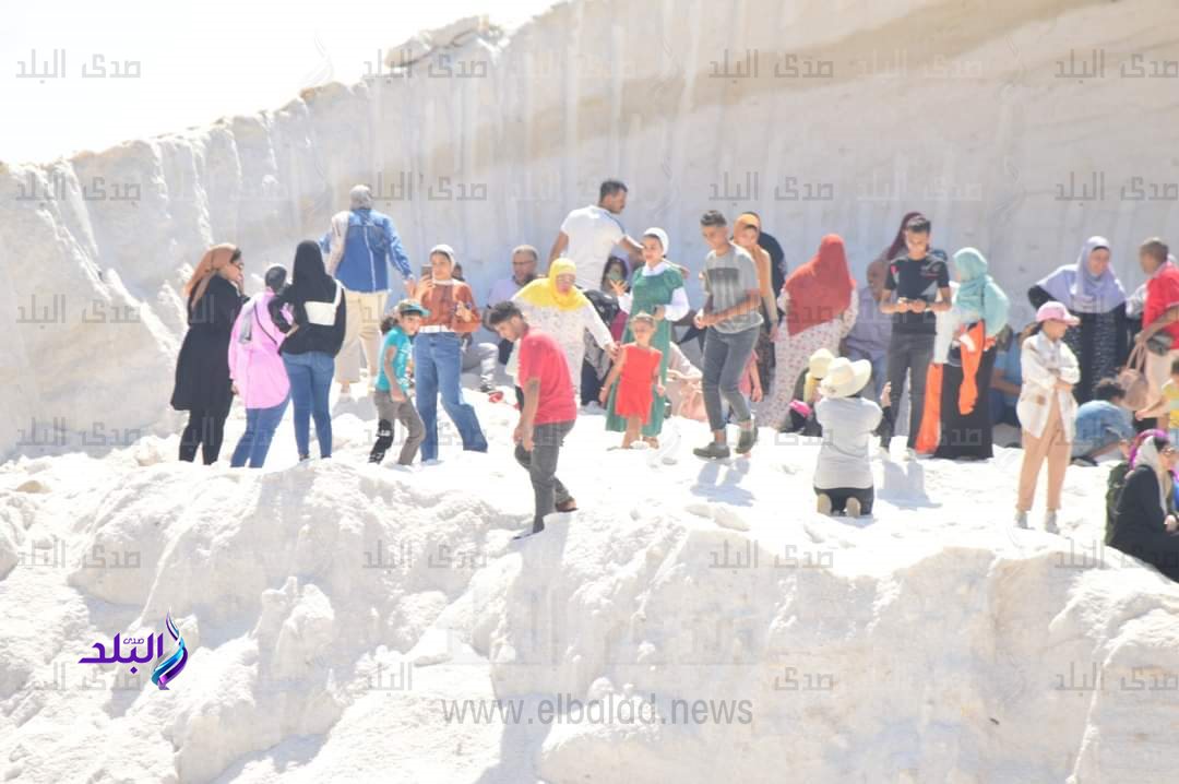 FB_IMG_1690555080981