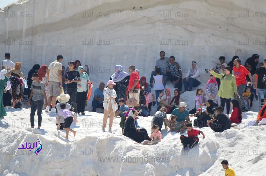 FB_IMG_1690555078828