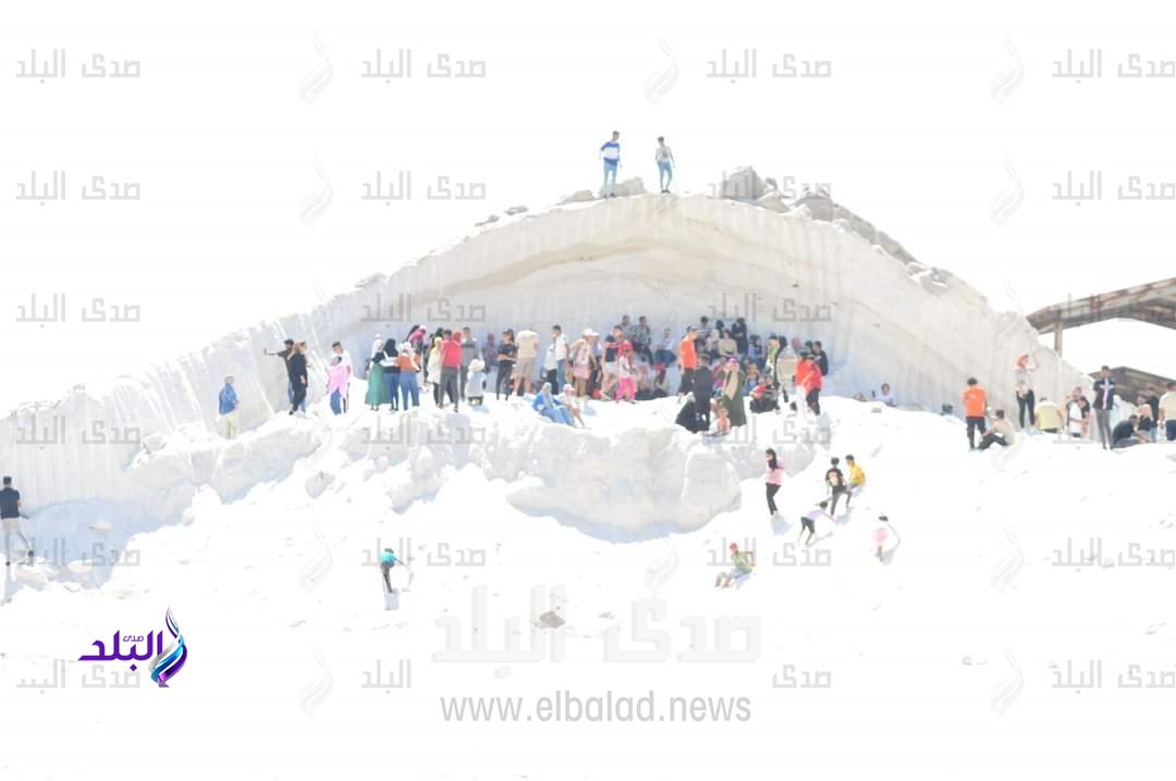 FB_IMG_1690555076399