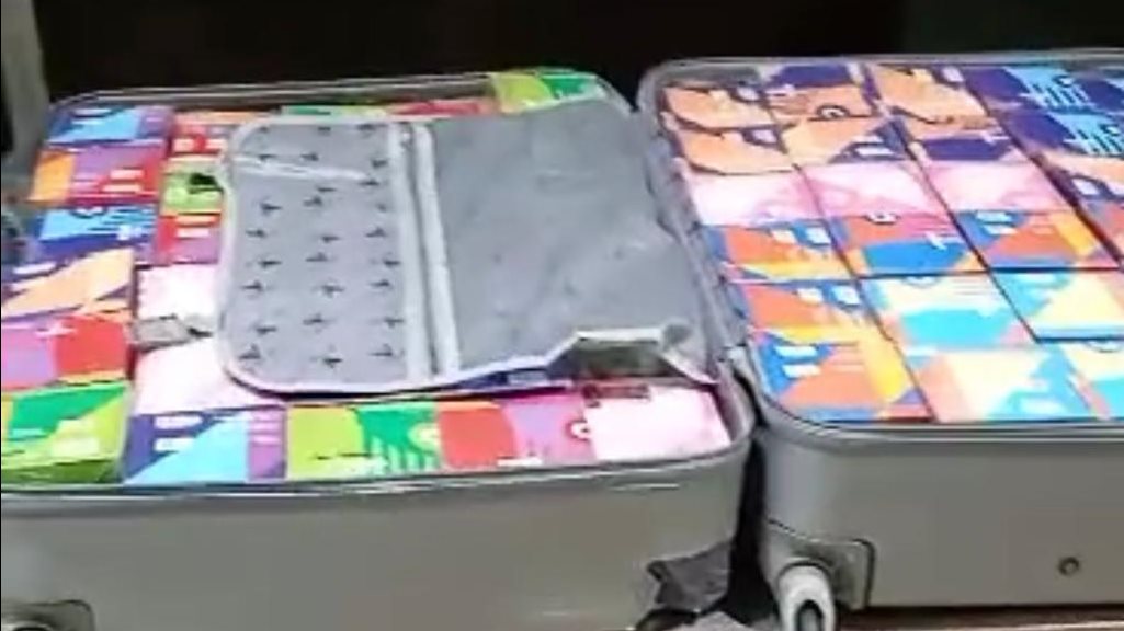 صورة من الضبطية 