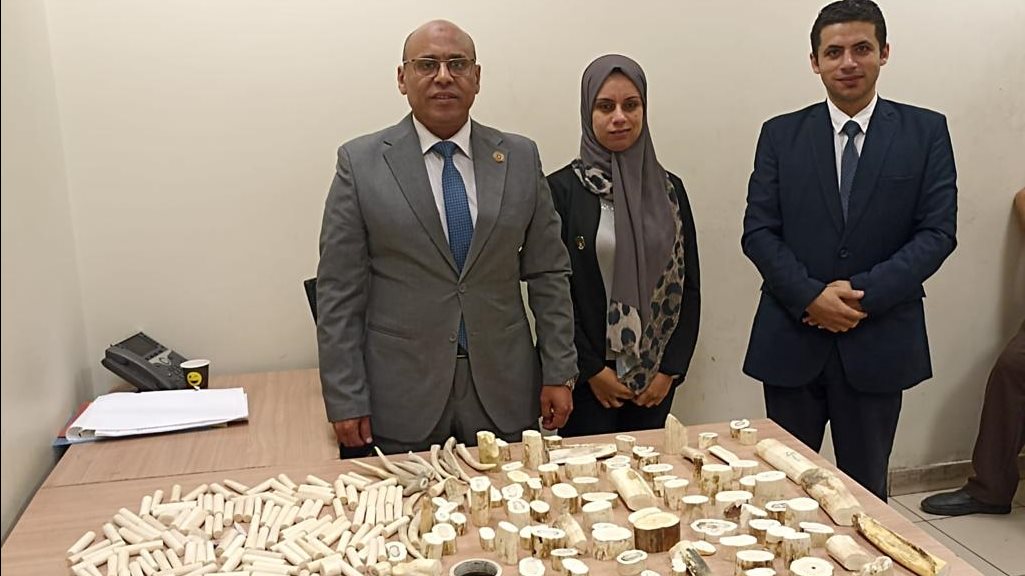 صورة من الضبطية 