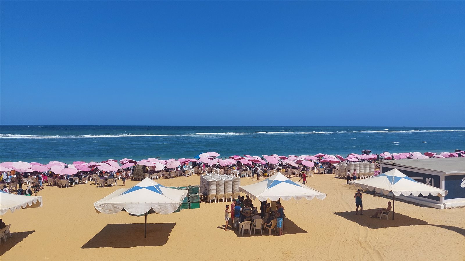 شواطئ الإسكندرية صباح اليوم
