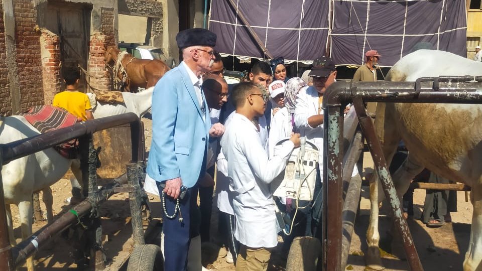 قوافل بيطرية