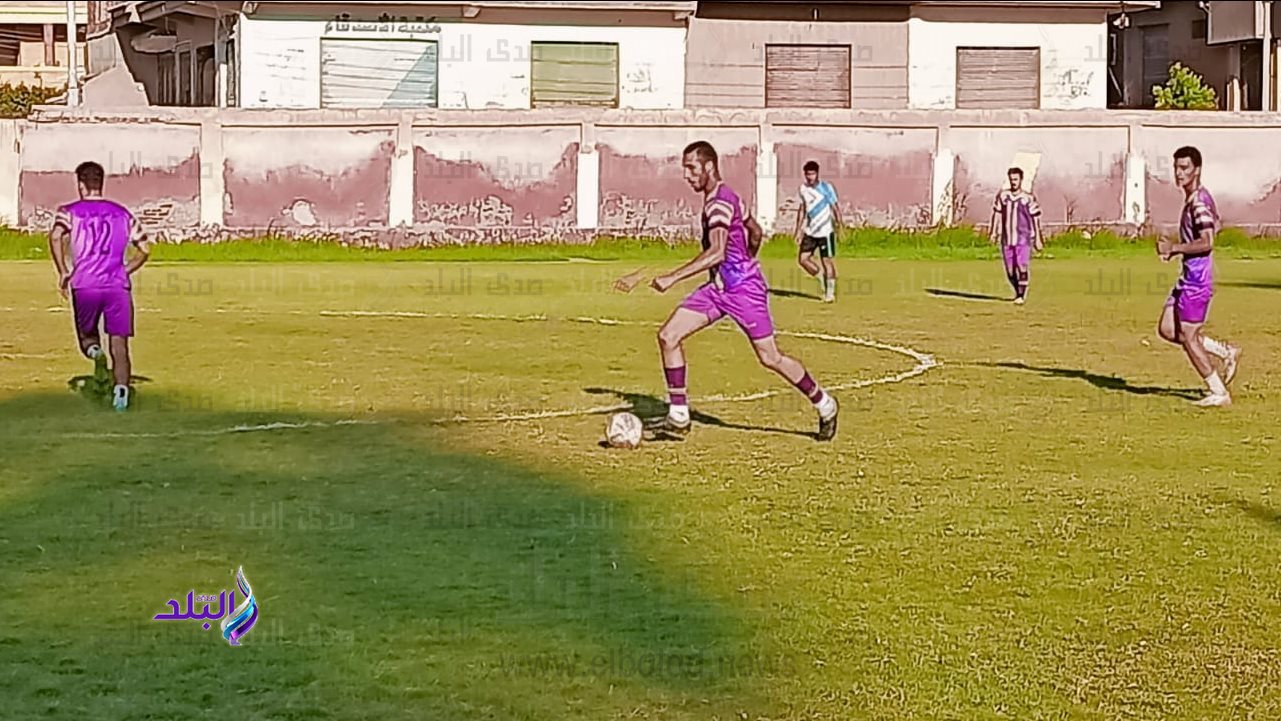 جانب من الفعاليات 