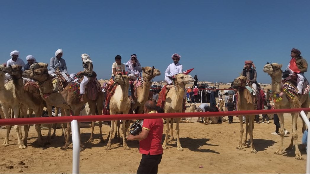 سباقات الهجن غرب مدينة العريش