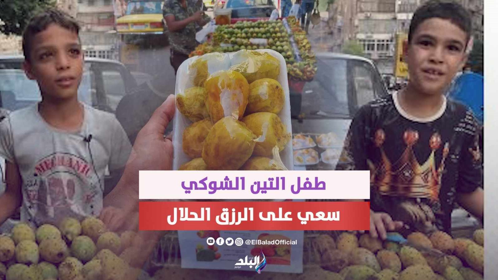 طفل التين الشوكي 