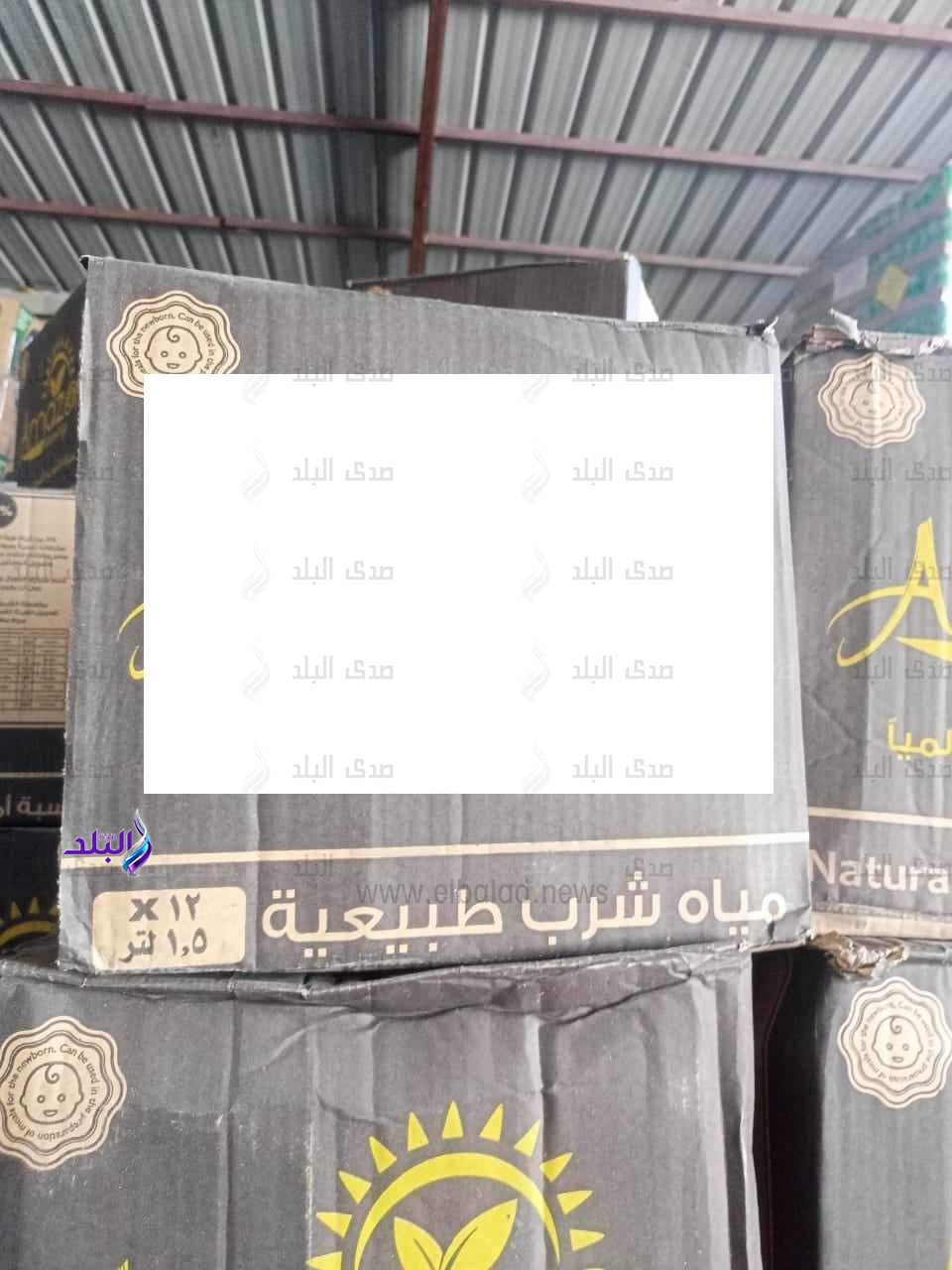 FB_IMG_1691143784074