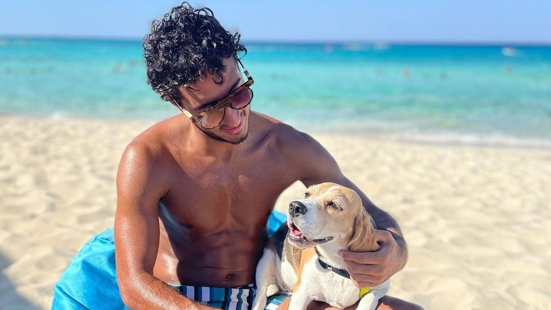 محمد هاني