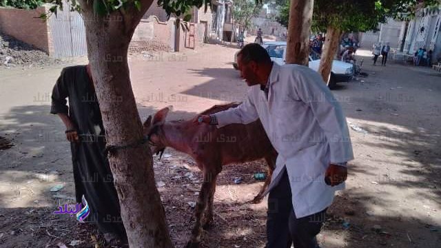 قافلة طبية بيطرية