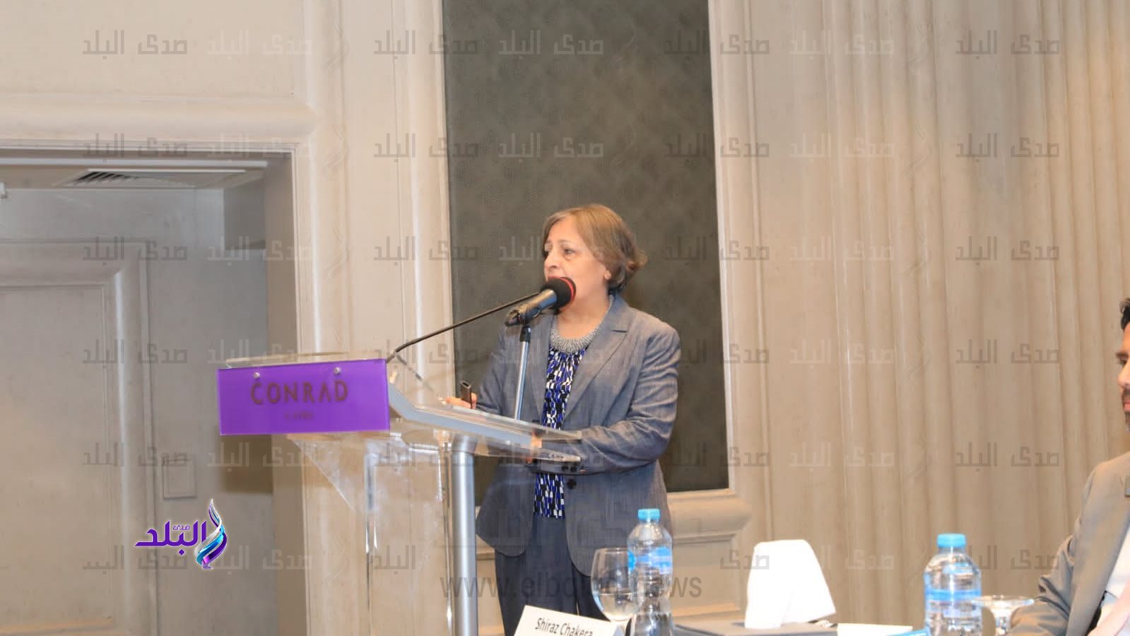  الدكتورة ميرفت الديب