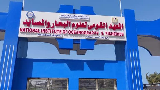 صوره موضوعية