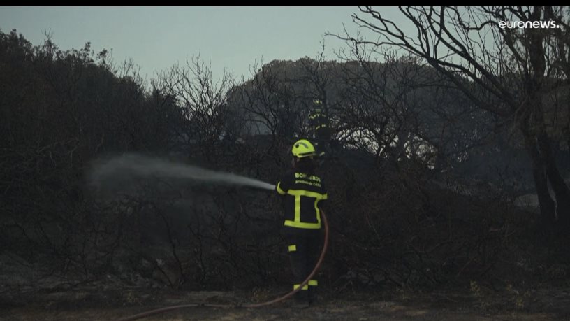 حرائق الغابات 