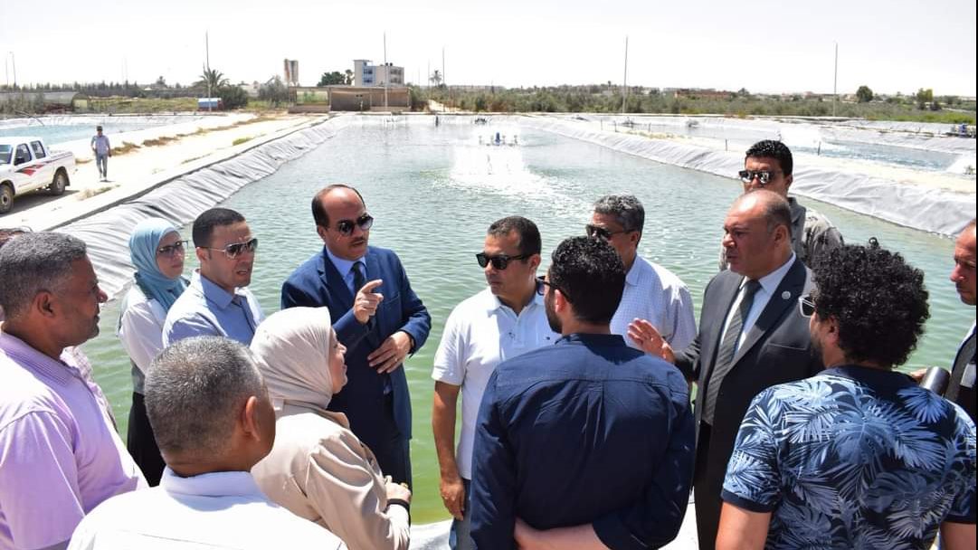 وفد اعلامي من مجلس الوزراء بجامعة العريش 
