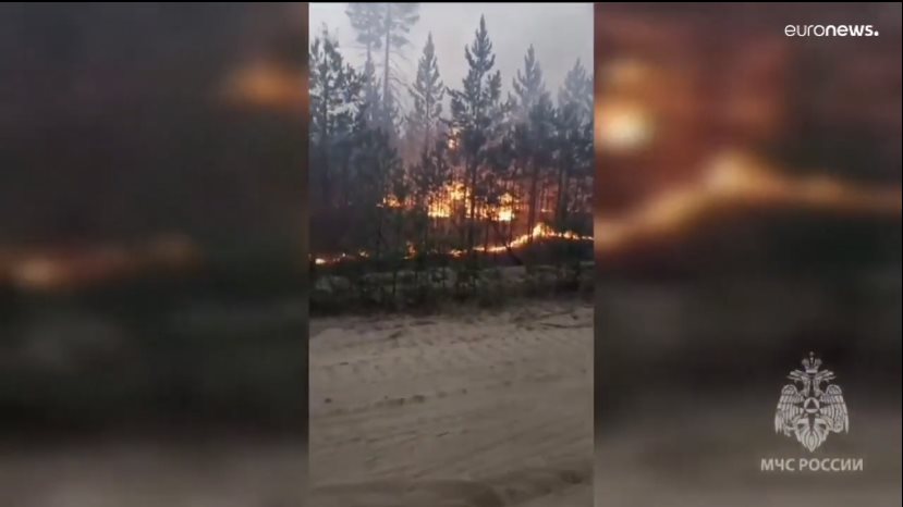 حرائق الغابات