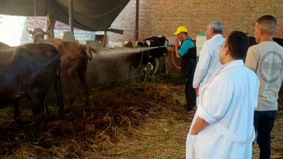 تحصين الثروة الحيوانية 